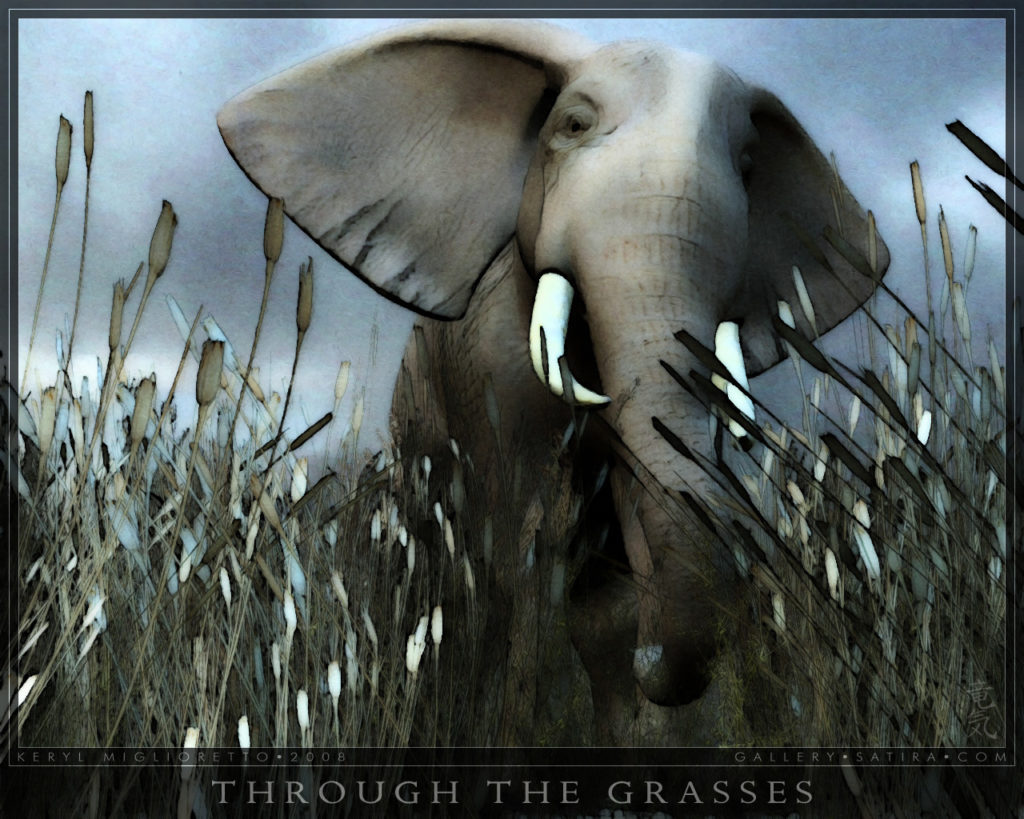 Through The Grasses