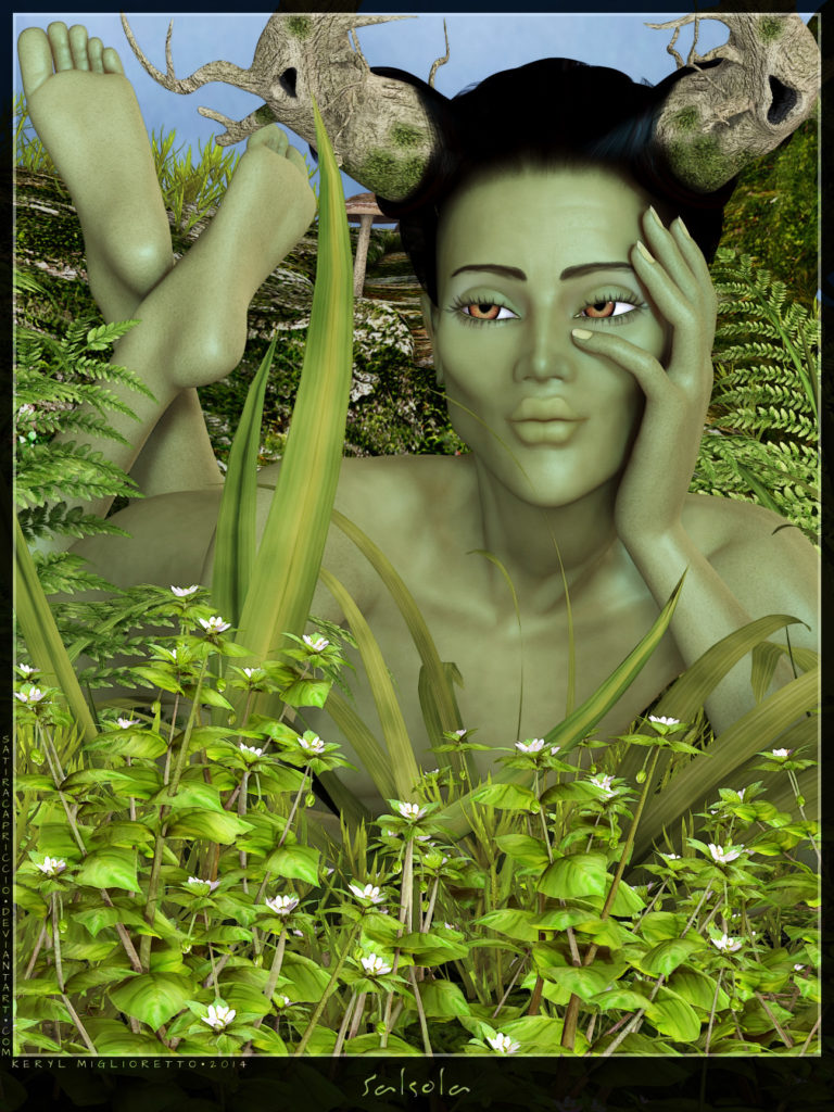 Salsola
