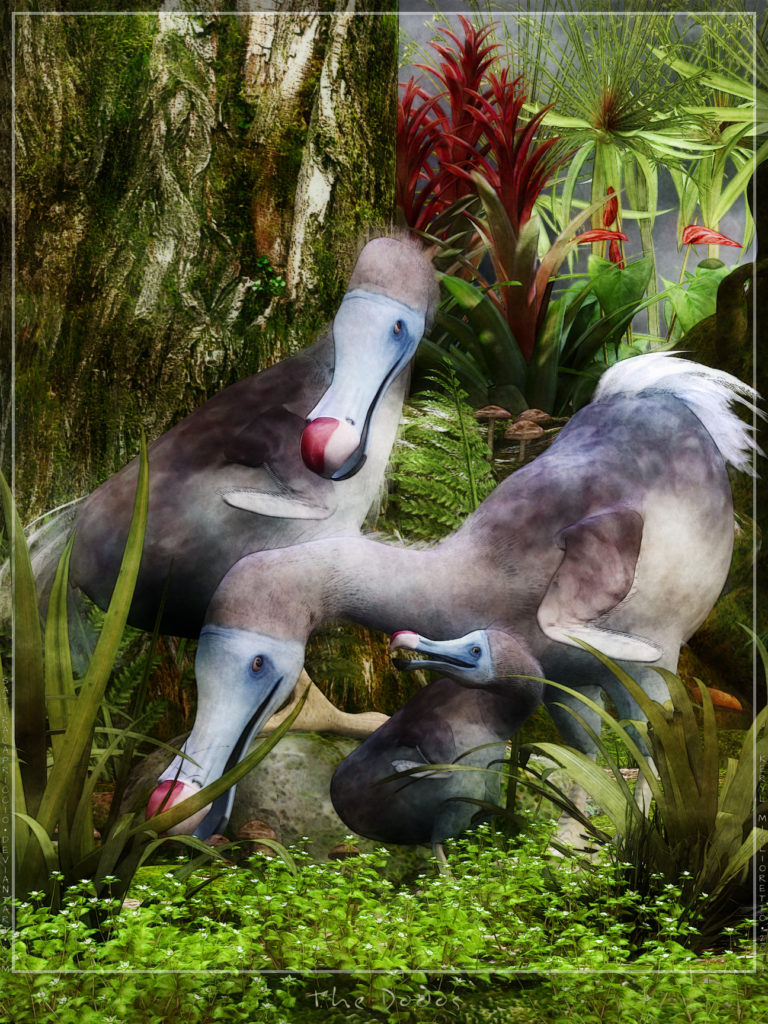 The Dodos