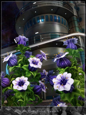 The Night Blooms