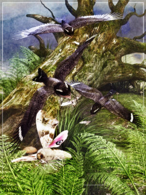 Nighthawks and Moths