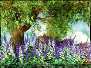 Spring Forest