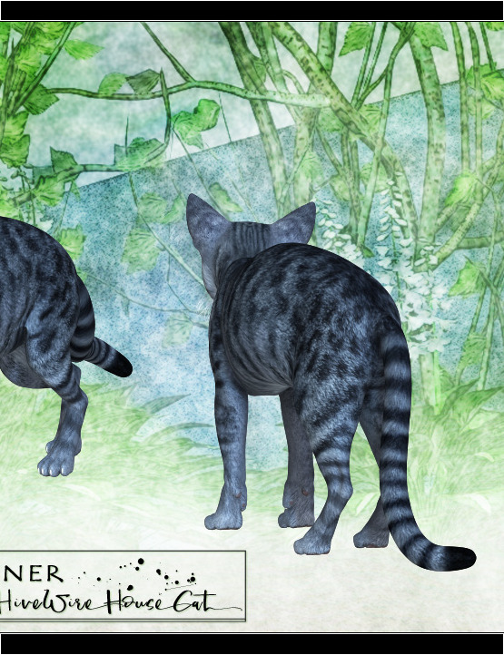 TGP Product Image 08