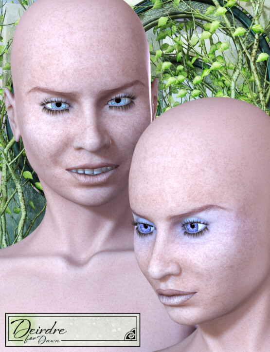 DoS Product Image 03